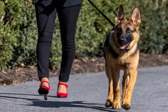 THE TRASH REPORT: President Jokes vs. Ex-President Farts! Also: Zendaya, Britney, Monica, and an Exercise on Positive Thinking